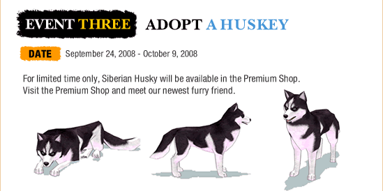 Event Three: Adopt a Huskey