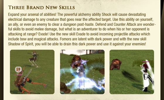 Three Brand New Skills  Expand your arsenal of abilities! The powerful alchemy ability Shock will cause devastating electrical damage to any creature that goes near the affected target. Use this ability on yourself, an ally, or even an enemy to clear a dungeon post-haste. Defend and Counter Attack are wonderful skills to avoid melee damage, but what is an adventurer to do when his or her opponent is attacking at range? Evade! Use the new skill Evade to avoid incoming projectile attacks which include bow and magical attacks. Fomors are latent with dark power and with the new skill Shadow of Spirit, you will be able to drain this dark power and use it against your enemies!