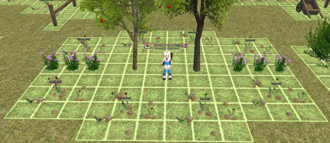 Image of Bunny’s idea for herb placement with gridlines to show usage of space.