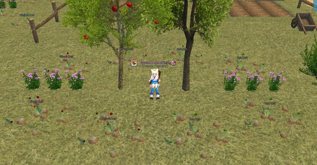 Image of Bunny’s idea for herb placement. Three herbs are placed on the left side of two trees, and again on the right side.